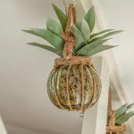 Pensionat Casa Karen - Houseboat With Private Terrace